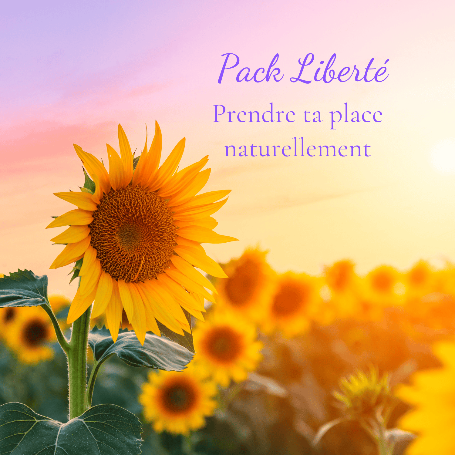 pack 3 coachings pour femmes hypersensibles